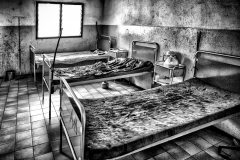 IMG_0828_1